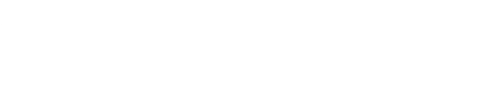 D1_Logo-Horizontal-WHITE