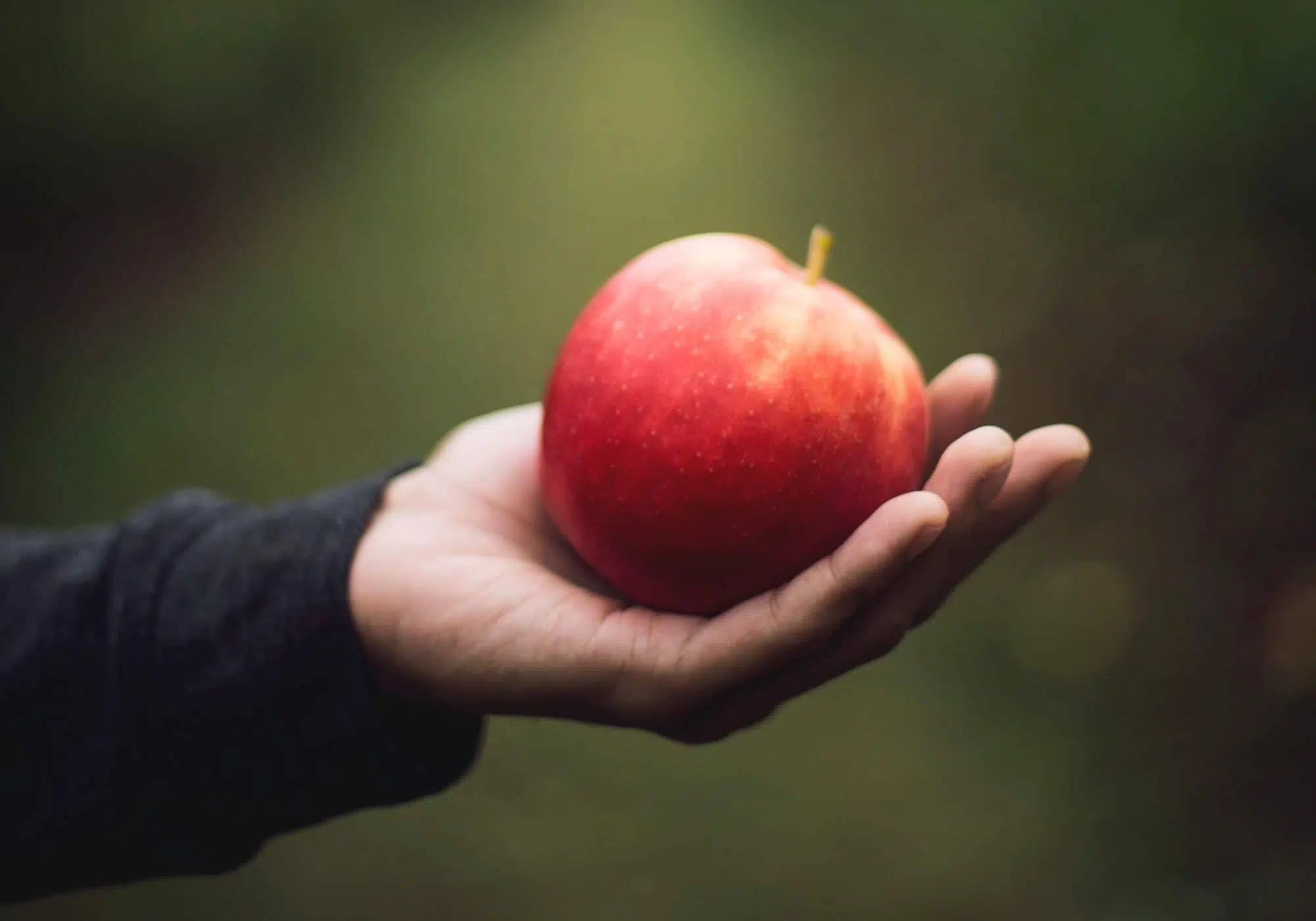 holding an apple