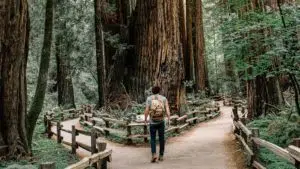 TheGreatAdventure_2Paths