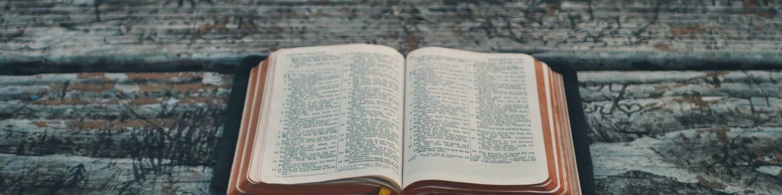 The Limestone Bible