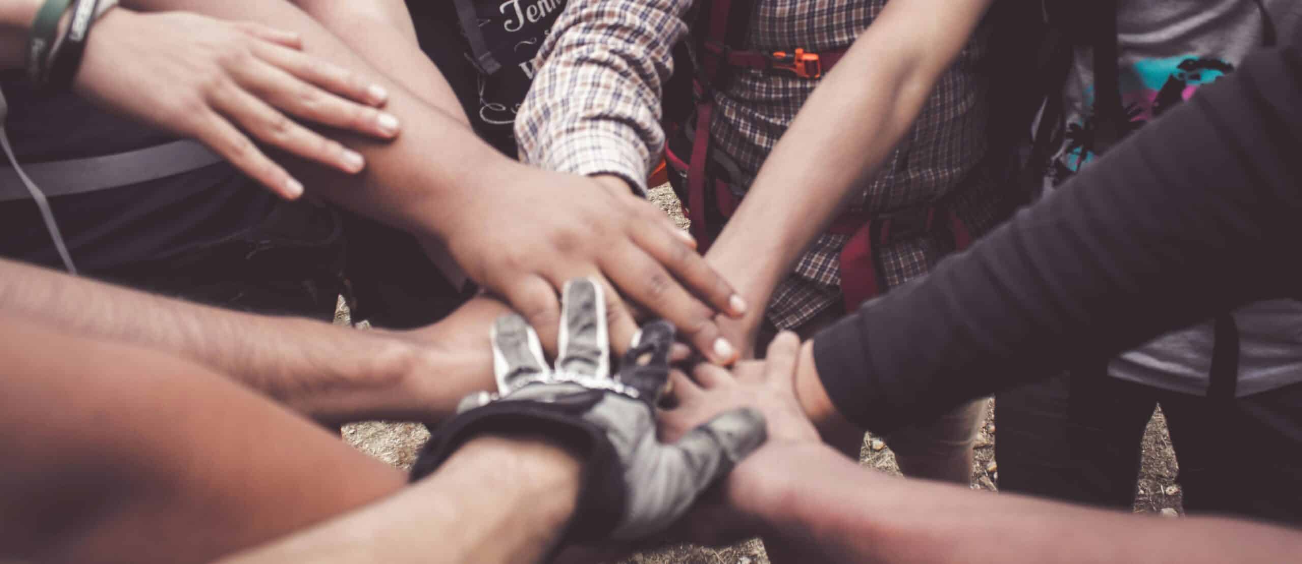 The Leadership Pipeline How to Build a Movement That Lasts