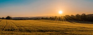 How to Engage Your Field Like Jesus Did