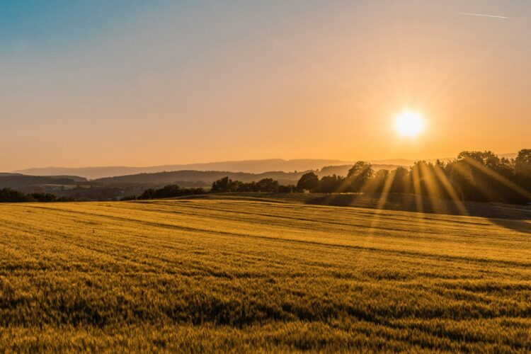 How to Engage Your Field Like Jesus Did