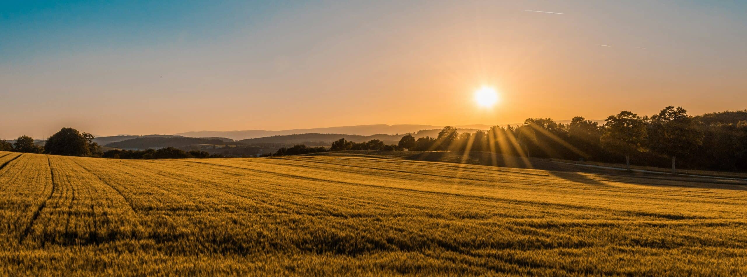 How to Engage Your Field Like Jesus Did
