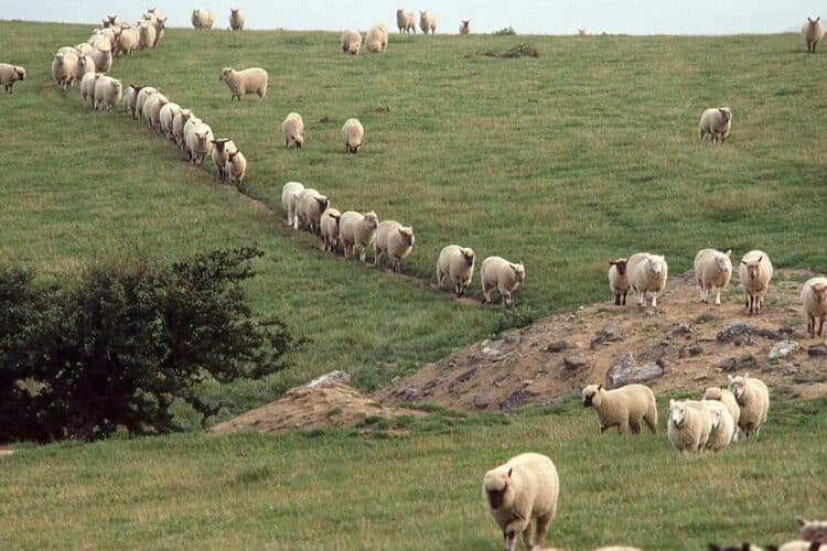 Why Followers of Jesus Believe He Is the Only Way to God